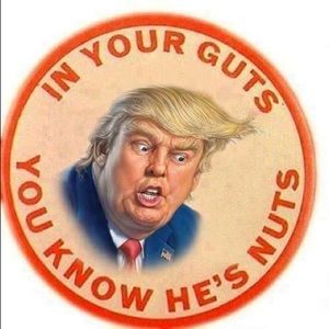 Meet your Posher, Jo ann